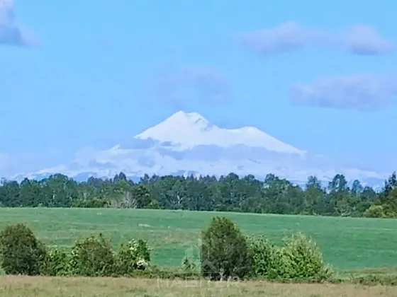 Cod39195 Agricola Campo 30 Ha. En La Comuna De Vilcún Temuco
