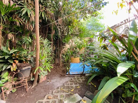 Ph 3 Ambientes Con Jardín Privado  Belgrano R
