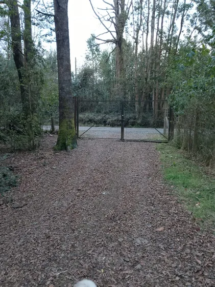 Parcela Con Cabañas