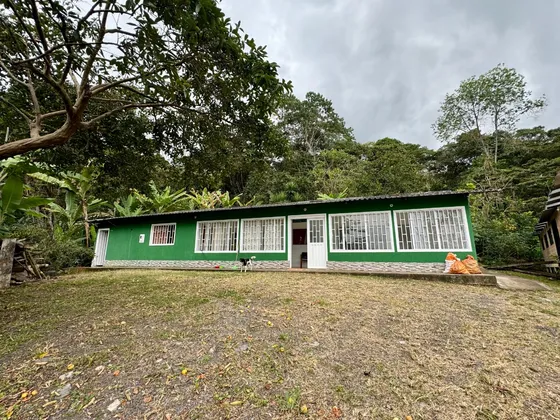 Finca Cafetera En El Municipio De Tibacuy