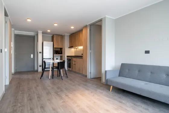 Departamento En Arriendo En Inés De Suárez Providencia