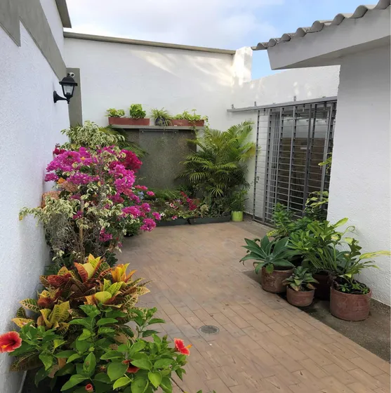 Vendo Casa En Los Alpes 434mt2 Excelent Ubicación Y Acabados