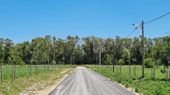 Venta Terreno Longchamps - Lote Barrio  La Arbolada 