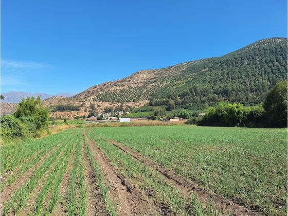 Venta De Dos Lotes En Sector Santa Margarita, Catemu