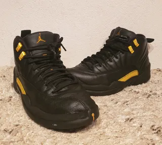 Tan jordan retro 12 deals