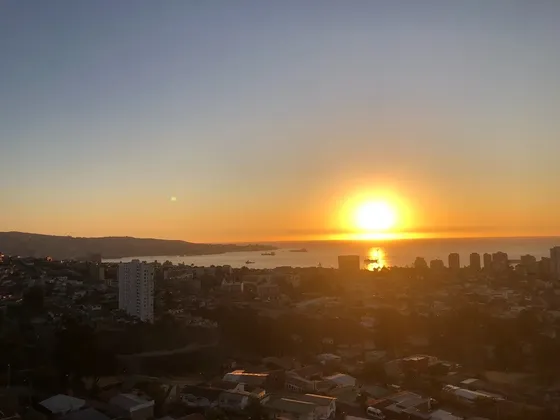 Arrendamos Con O Sin Amoblar, Año Corrido En Viña Del Mar