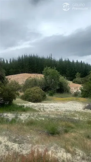 Parcela En Venta En Curicó