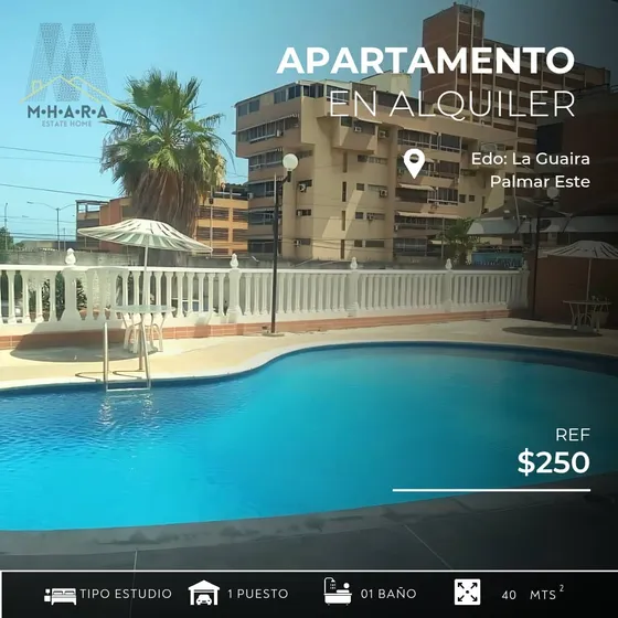 Apartamento Tipo Estudio En Alquiler En Caribe