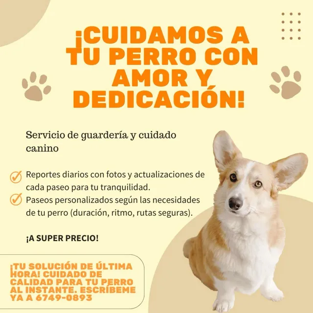 Guardería Para Perros A Súper Precio Y Los Cuidamo Con Amor.