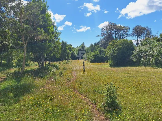 Campo Con Casa En Fresia, Excelente Inversión