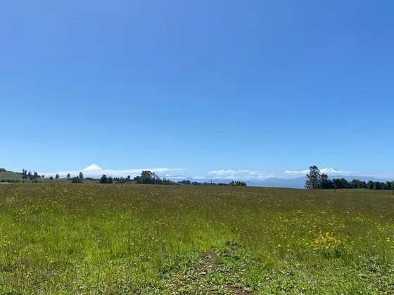 Se Vende Parcela En Llanquihue
