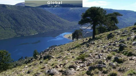 Excelente Campo De 1.400 Has En Aluminé, Neuquén Patagonia Argentina