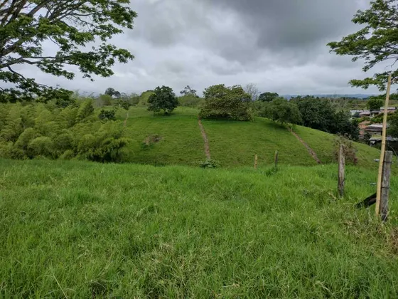 Lote En Venta Sector Veracruz/ Santa Rosa De Cabal (279058681).
