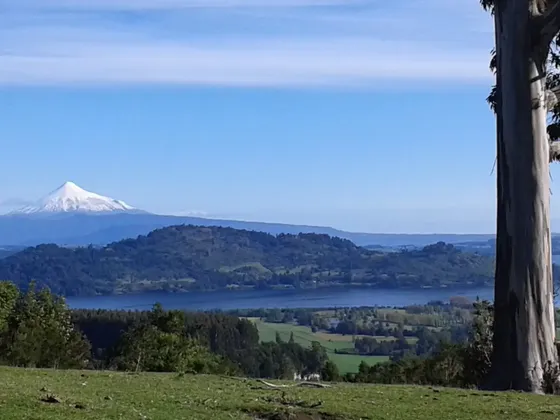 Inversionistas Parcela De Con Vista A Lagos Y Volcanes
