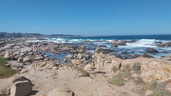 Sitio En Venta En El Tabo