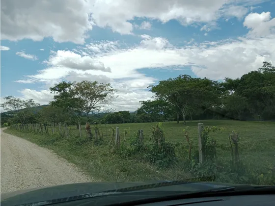 Finca San Pedro Anapoima