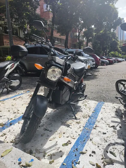 Honda Navi 2022