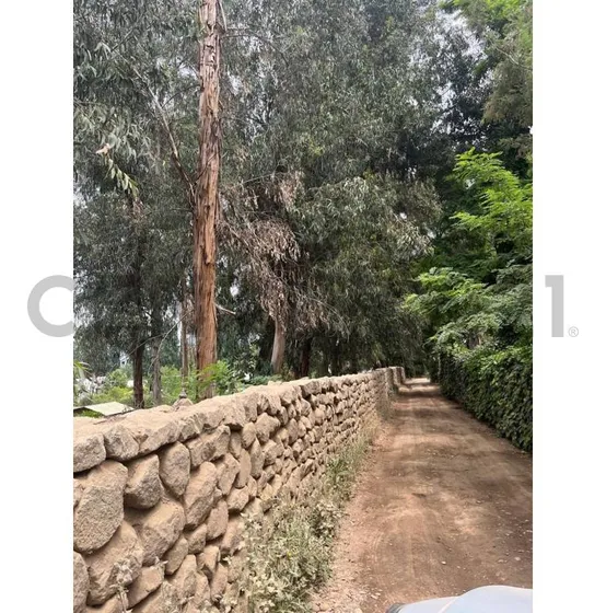 Terreno Ideal Para Proyecto En San José De Maipo