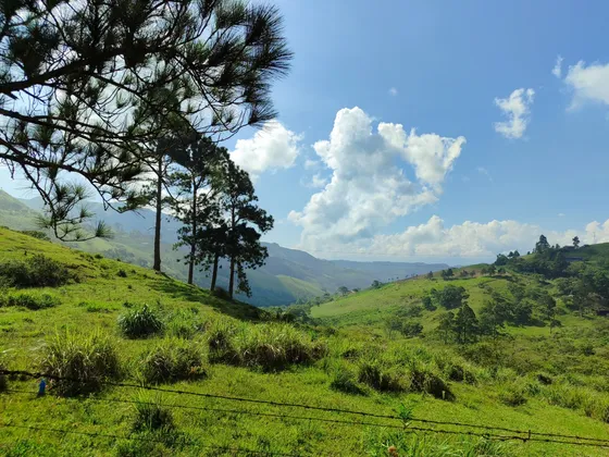 Lh Finca En Venta En La Mulera 