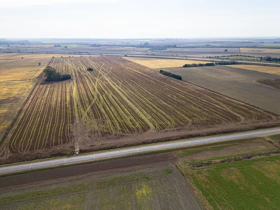 Campo De 42 Ha En Venta En Oliveros, Sobre Ruta.