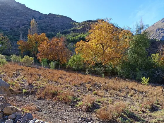 Cajón Del Maipo, San Alfonso, Terreno Bellas Vistas, Lote 5.