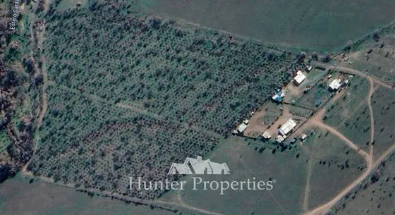 Agrícola En Venta En Colina