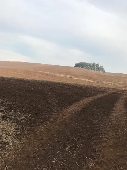 Agrícola En Venta En Traiguén