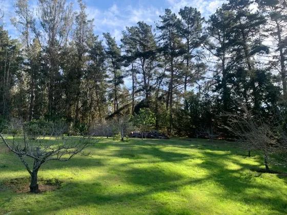 Parcela Condominio, Agua, Riego, Jardín Formado, Impecable