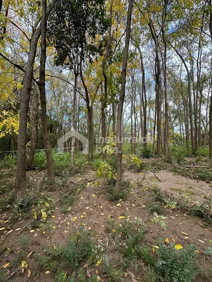 Terreno Lote  En Venta En Delta, Tigre, G.b.a. Zona Norte