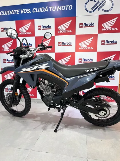 Honda Tornado Xr 300 L
