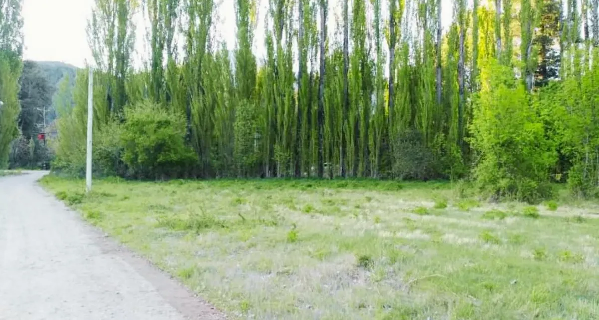 Land Plot - Lago Puelo