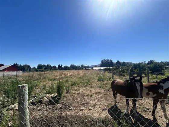 Sitio En Venta En Curacaví
