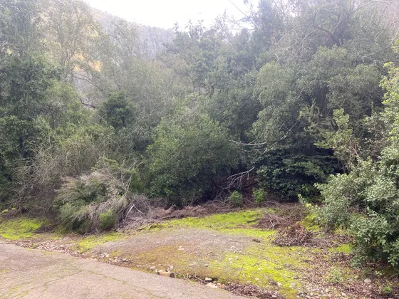 Una Hectárea En Condominio Bosques De Aculeo