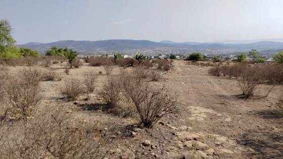 Terreno En Venta, Zapotlán De Juárez, Hidalgo