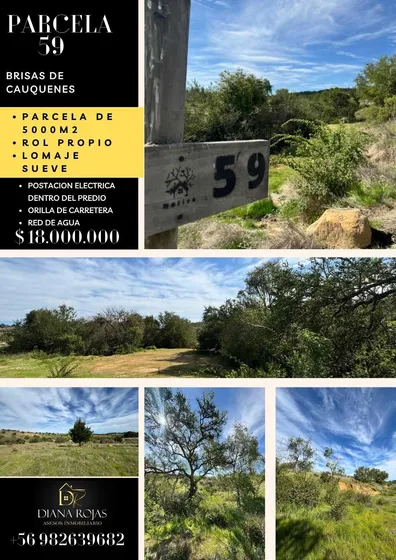 Hermosa Parcela En Cauquenes  (74725)