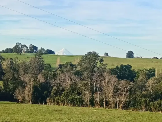 Oportunidad De Inversión En Parcela A 20 Km De Puerto Varas