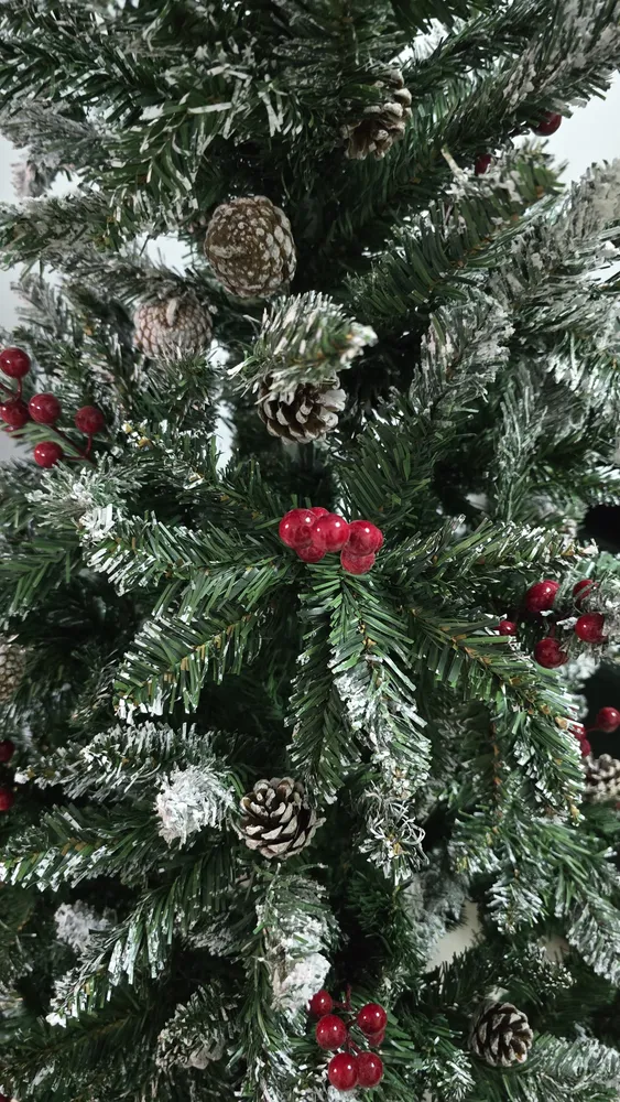 Foto do produto compartilhada pelo comprador 3 de 4