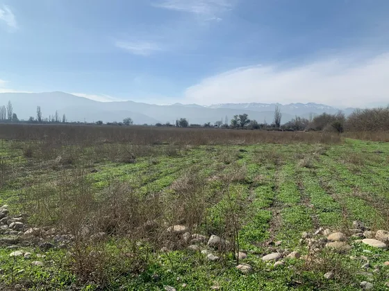 Terreno Para Desarrollo De Parcelas (subdividido)