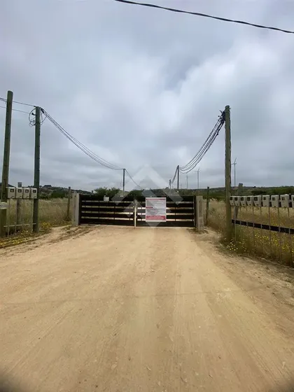 Sitio En Venta En Litueche