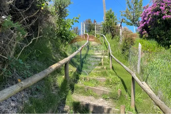 Maravillosa Parcela Con Vista Y Bajada Al Lago