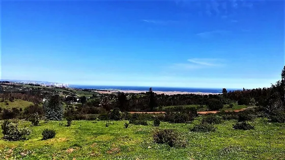 Sitio En Venta En Quintero