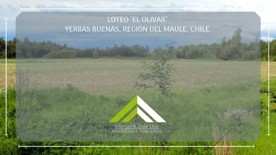 Parcela A Venta En Yerbas Buenas, Talca, Maule