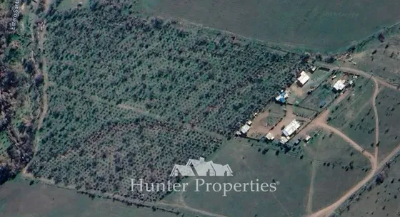 Agrícola En Venta En Colina
