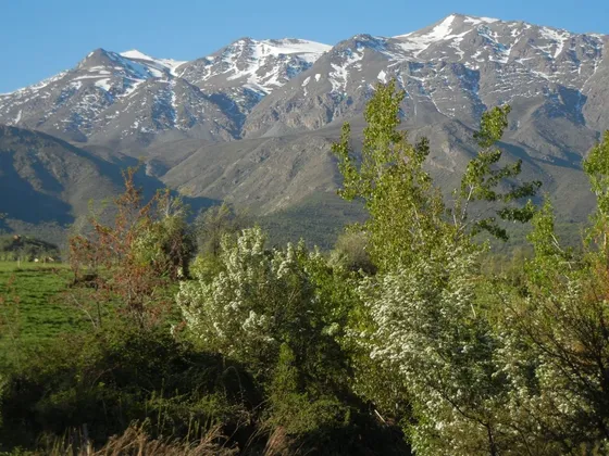 Parcela En Venta En San Francisco De Los Andes