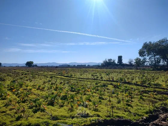 Increible Parcela En Venta En Pelarco