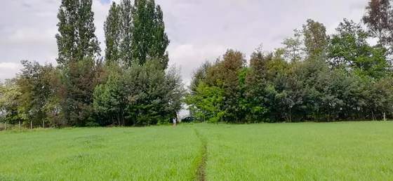 Parcela En San Carlos 5000m2 Con Derechos De Agua