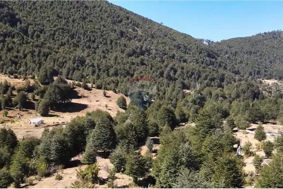 Venta De Campo Pucón - Coilaco Alto