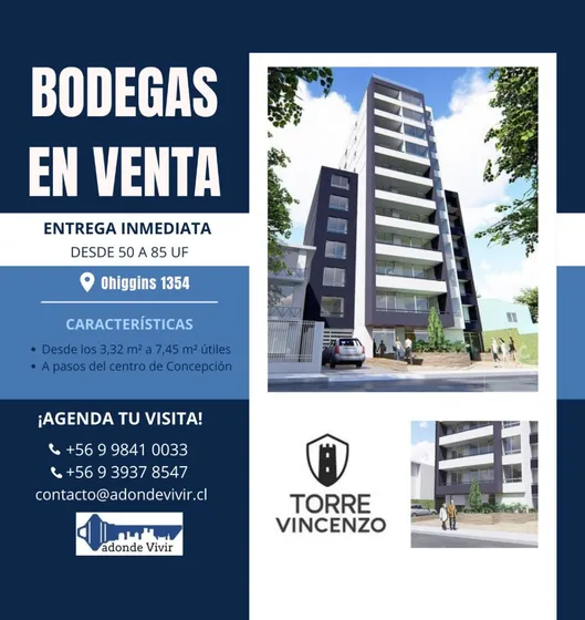 Bodegas Entrega Inmediata En Torre Vincenzo