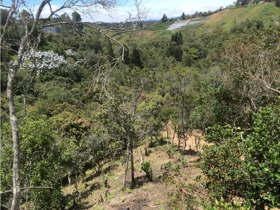 Lote En Venta Con Cabaña Y Explanada Para Casa Principal, Guarne 