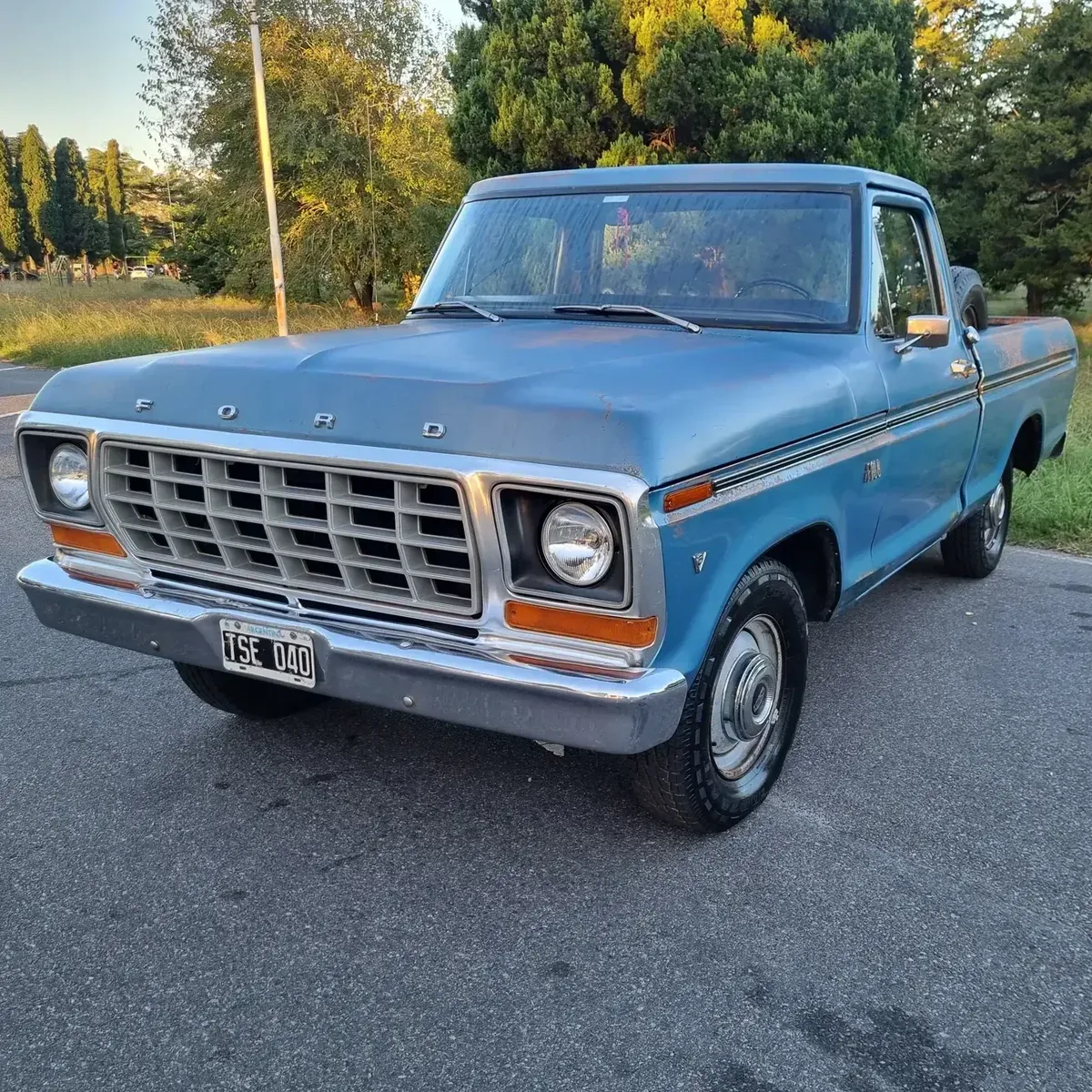 Ford F-100 4.2 V8